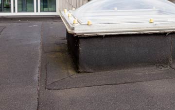 disadvantages of Dene Park flat roofs