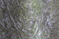 Dene Park fibreglass roof work